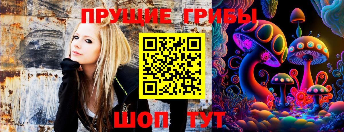 Галлюциногенные грибы Psilocybine cubensis  Вход с VPN  Большой Камень 
